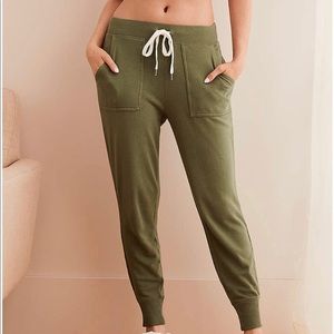 Aerie Plush Ribbed Cuff Jogger